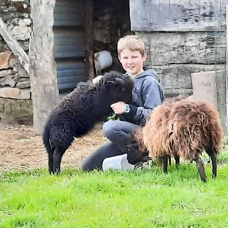 Le Du Petit Plessis *