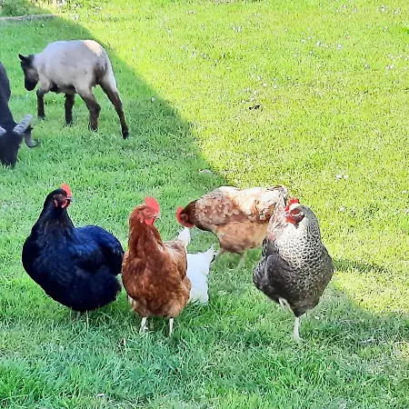 Le Du Petit Plessis *