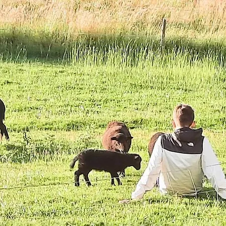 Holiday home Le Du Petit Plessis