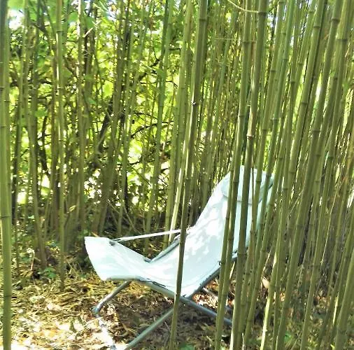 Le Du Petit Plessis Ferienhaus *