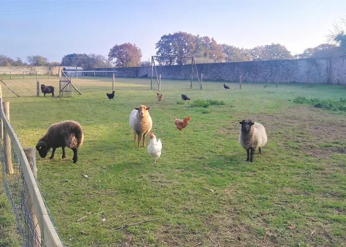 Le Du Petit Plessis Saint-Viaud