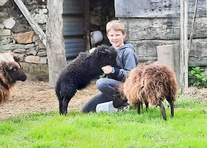 Le Du Petit Plessis *