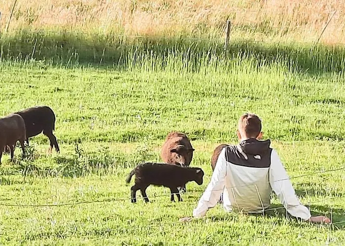 Ferienhaus Le Du Petit Plessis